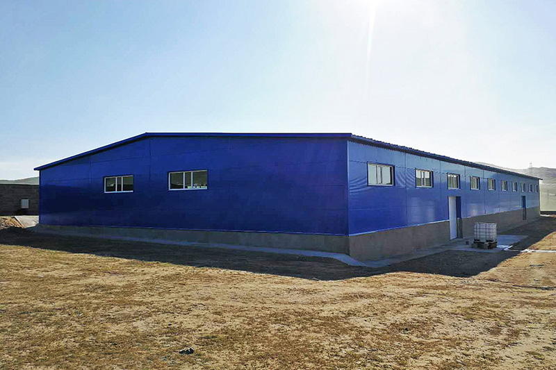 Poultry Farm in Mongolia