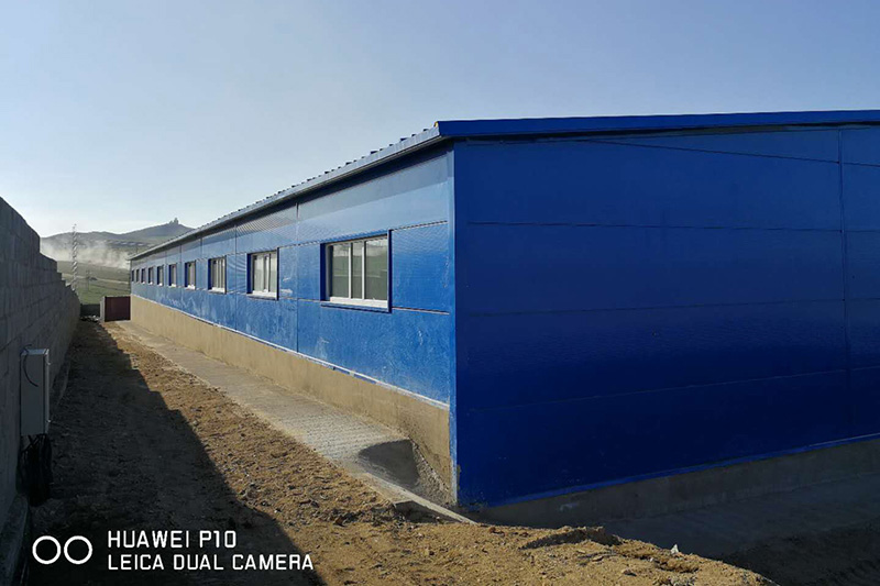 Poultry Farm in Mongolia